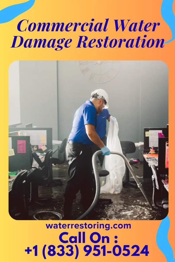 Commercial Water Damage Restoration in Garwood, NJ