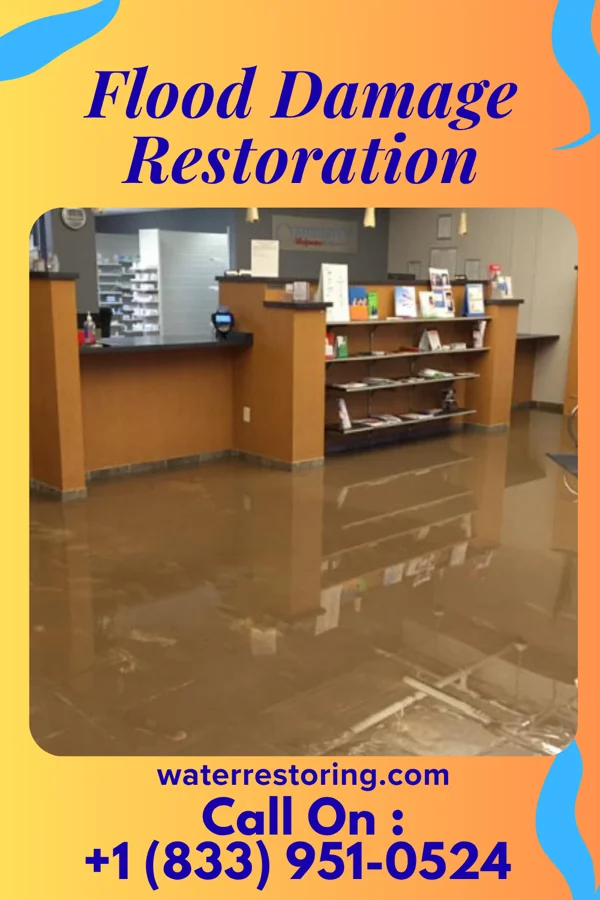 Flood Damage Restoration in Garwood, NJ
