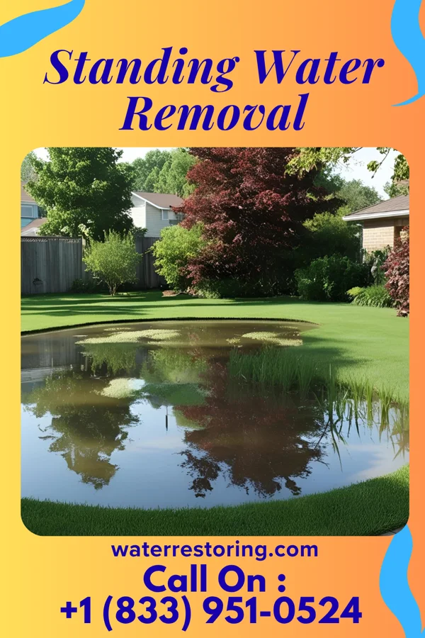 Standing Water Removal in Garwood, NJ